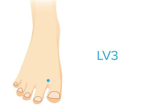 lv3 pressure points for sleep